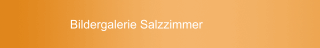 Bildergalerie Salzzimmer